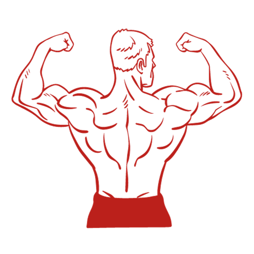 A strong muscle man shows how healthy you can be without high cholesterol, high blood pressure, erectile dysfunction, and men's health services.