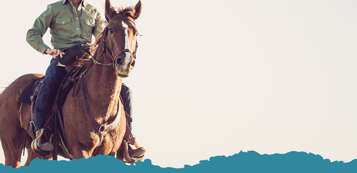 A rider on a horse is the header of Payson Walk-In Clinic's website. Learn about our story, our services, our blog, our FAQ, or contact us today for healthcare that is affordable and straightforward.